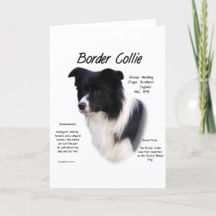 Border Collie History Design Holiday Card
