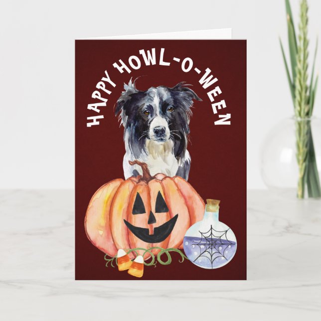 Border Collie Howl-o-Ween Greeting Card (Front)
