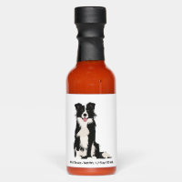 Border Collie Illustration!