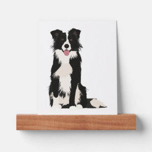 Border Collie Illustration! Picture Ledge