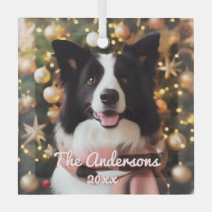 Border Collie in a Scarf and Christmas Tree  Glass Ornament