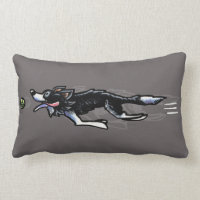 Border Collie in Action