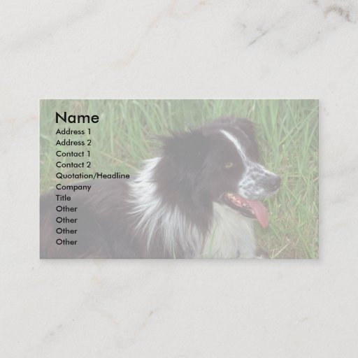 Customizable Border Collie in grass Business Card Templates