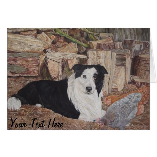 border collie in log shed with chickens portrait