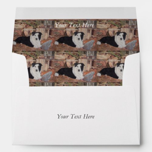 border collie in log shed with chickens portrait envelope