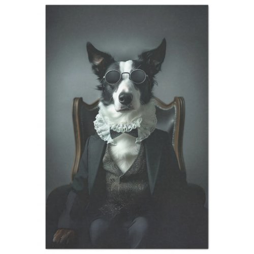 Border Collie in Suite Shades Decoupage Tissue Paper