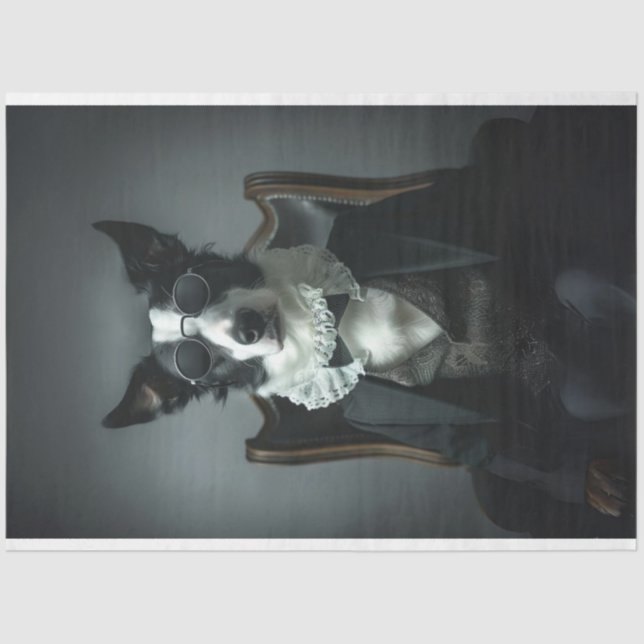 Border Collie in Suite Shades Decoupage Tissue Paper (Front)