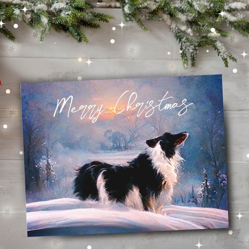 Border Collie in Winter Snow Landscape Christmas Holiday Postcard