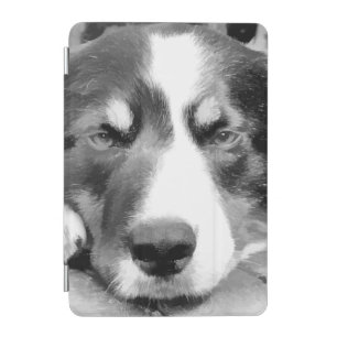 BORDER COLLIE iPad MINI COVER
