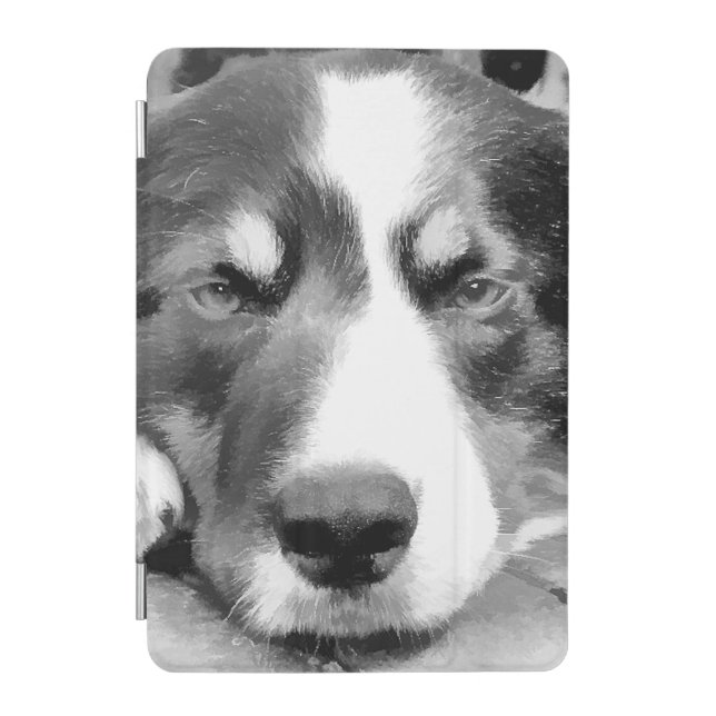 BORDER COLLIE  iPad MINI COVER (Front)