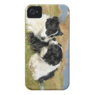 Border Collie iPhone 4S Cover