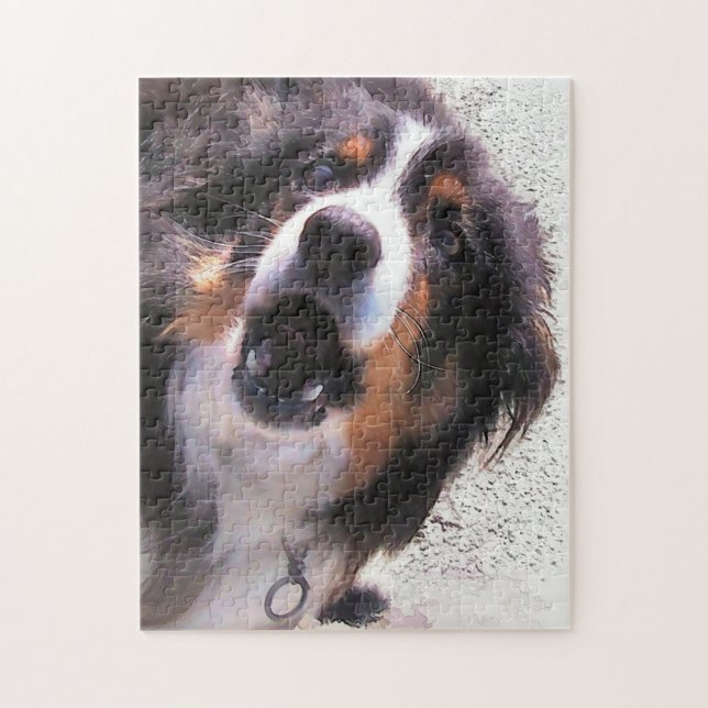 BORDER COLLIE JIGSAW PUZZLE (Vertical)