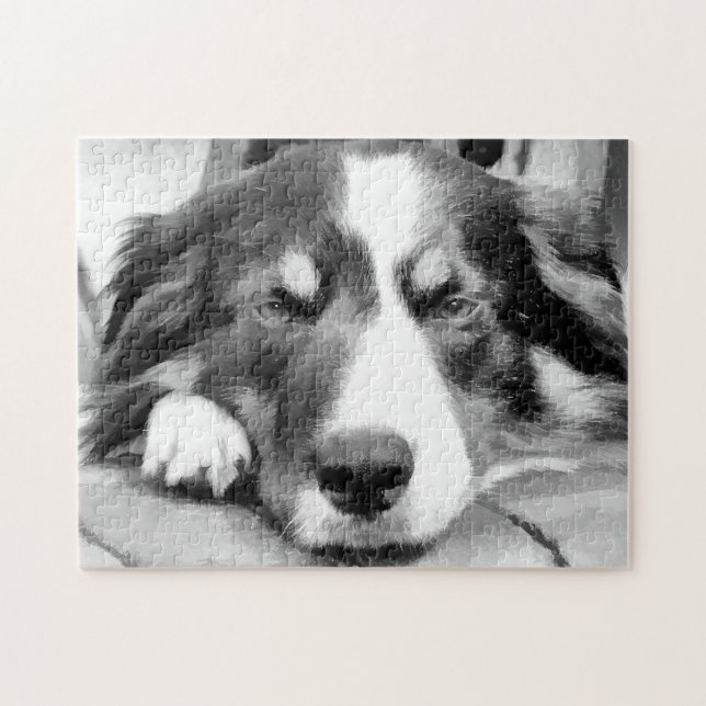BORDER COLLIE JIGSAW PUZZLE (Horizontal)
