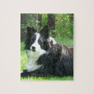 Border Collie Jigsaw Puzzle