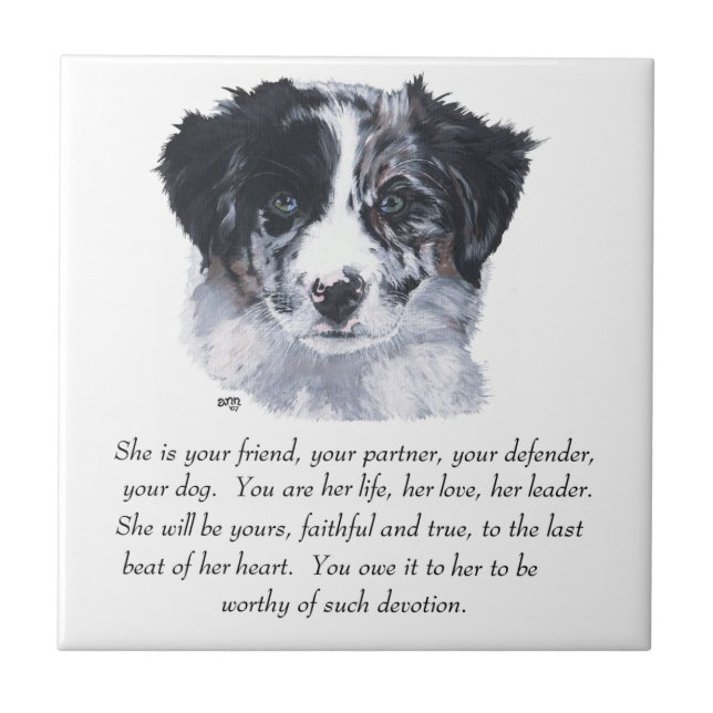 Border Collie Keepsakes Tile (Front)