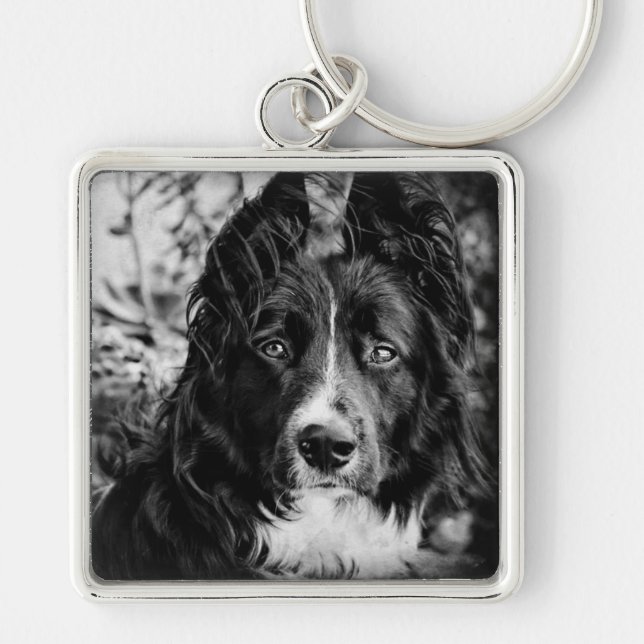 Border Collie Key Chain (Front)