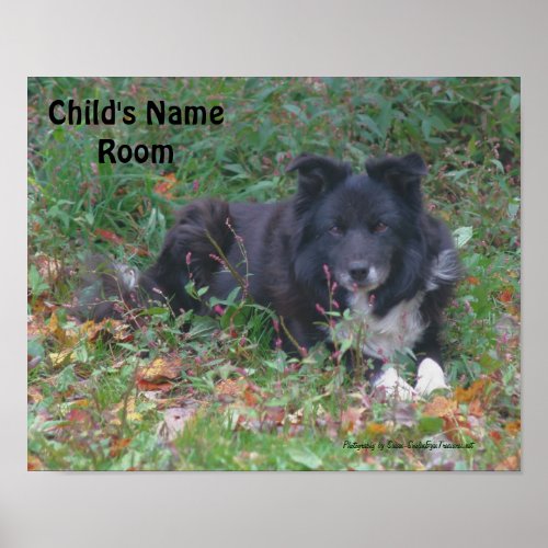 Border Collie Kids Room Personalized Wall Poster