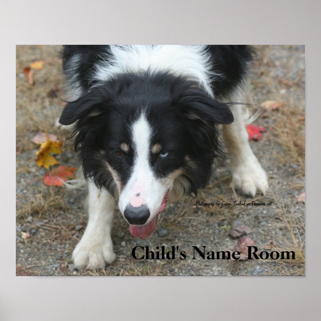 Border Collie Kids Room Personalized Wall Poster (Front)