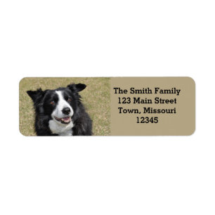 Border collie label