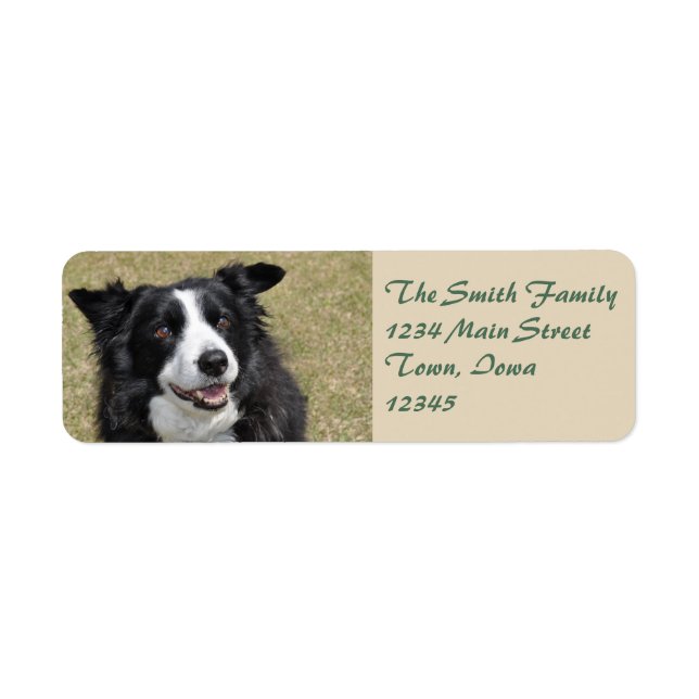 Border collie label (Front)