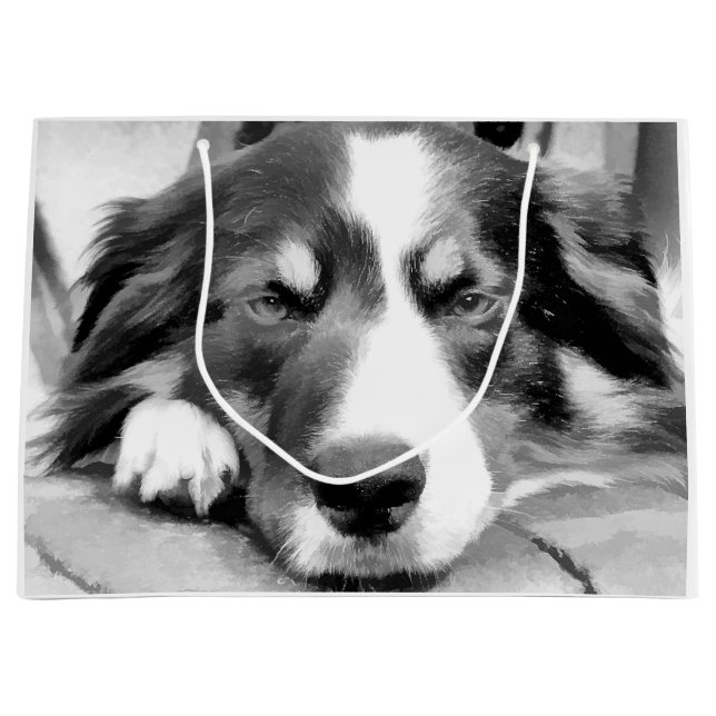 BORDER COLLIE LARGE GIFT BAG (Front)