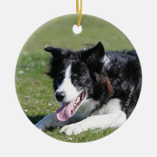 Border Collie Laying Down Ceramic Ornament