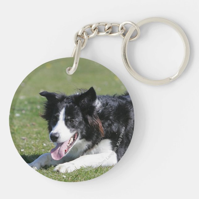 Border Collie Laying Down Keychain (Back)