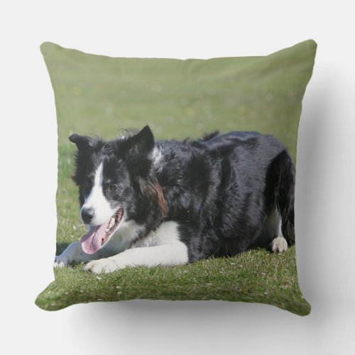 Border Collie Laying Down Throw Pillow