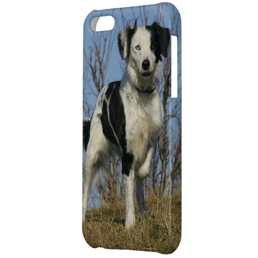 Border Collie Leg Raised iPhone Case (Back Left)