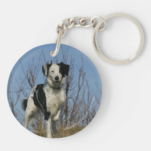 Border Collie Leg Raised Keychain (Back)