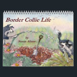 Border Collie Life wall calendar<br><div class="desc">A different picture every month to illustrate some of the activities Border Collie engage in when they have time off.</div>