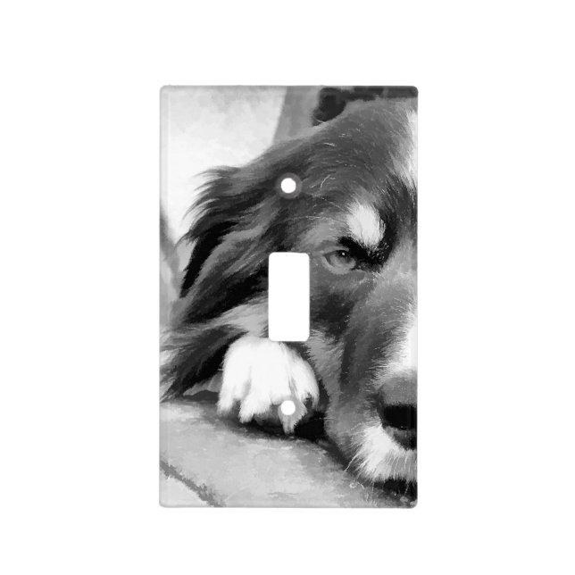 BORDER COLLIE LIGHT SWITCH COVER (Front)