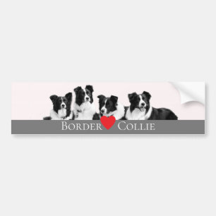 Border Collie Love Bumper Sticker
