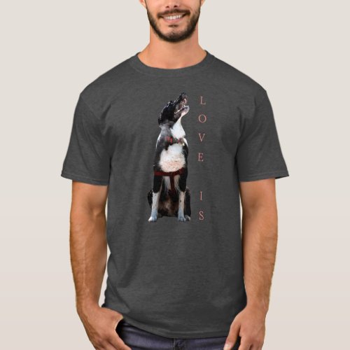 Border Collie Love Is Dog Mom Dad Pet Puppy Cute  T_Shirt