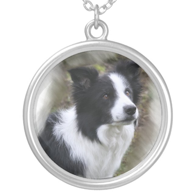 Border Collie Lovers Gifts Silver Plated Necklace (Front)