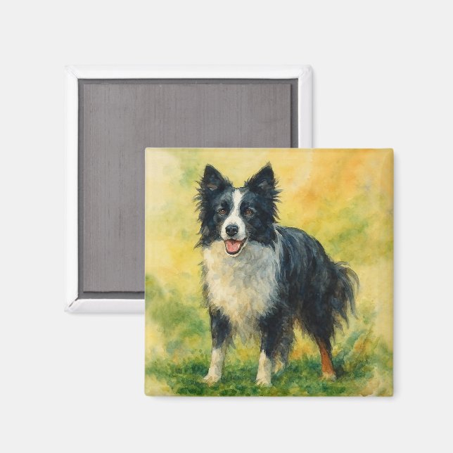 Border Collie Magnet (Front/Back)