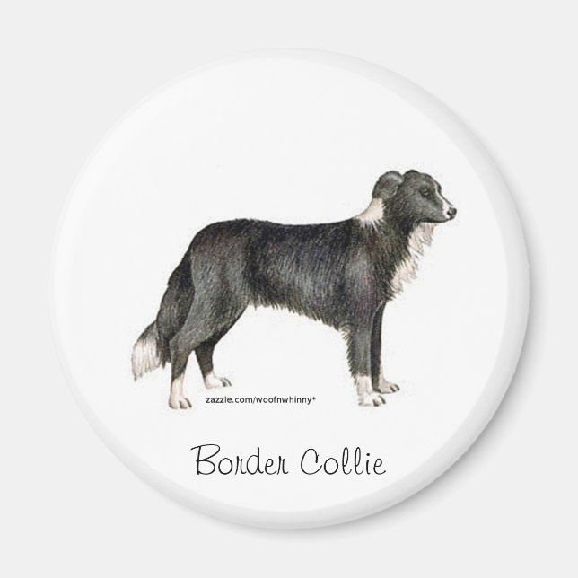Border Collie Magnet (Front)