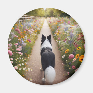 Border Collie Magnet