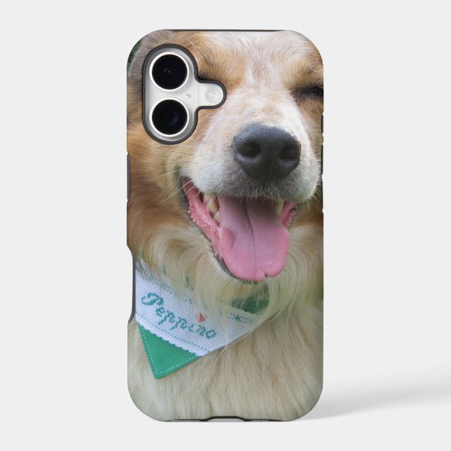 border collie mix iphone case (Back)