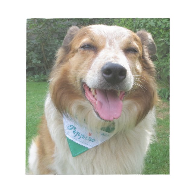 border collie mix notepad (Front)