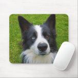 Border Collie Mouse Pad<br><div class="desc">A very handsome Border Collie</div>