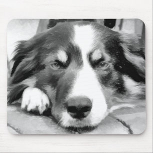 BORDER COLLIE MOUSE PAD