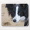 Border Collie Mouse Pad