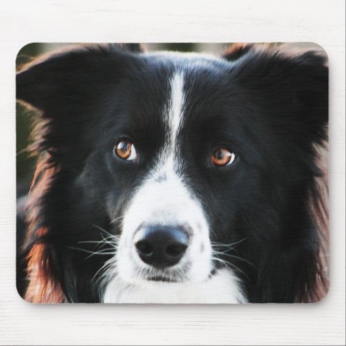 Border Collie Mouse Pad