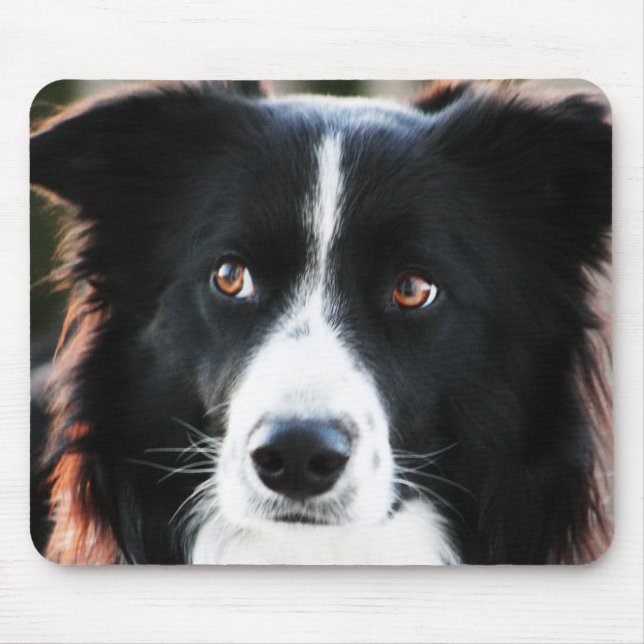 Border Collie Mouse Pad (Front)