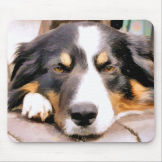 BORDER COLLIE MOUSE PAD