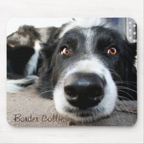 Border collie mouse pad