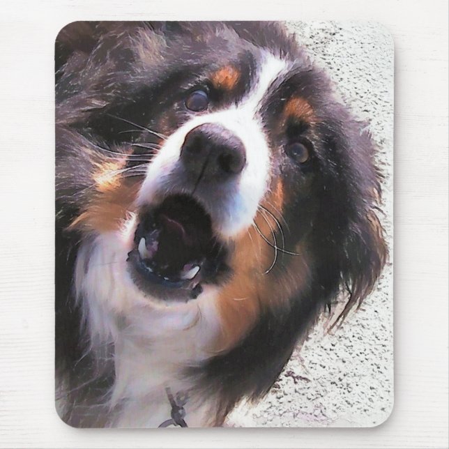 BORDER COLLIE MOUSE PAD (Front)
