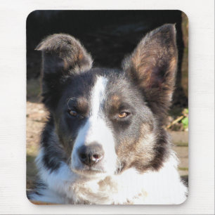 BORDER COLLIE MOUSE PAD