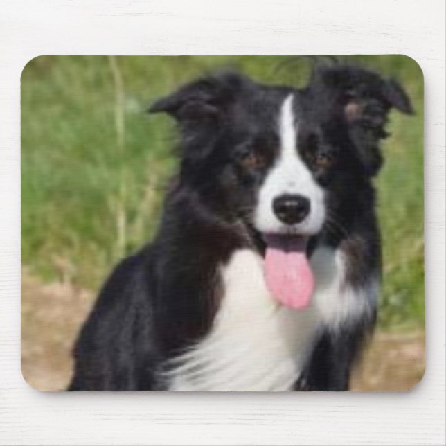 Border Collie Mousepad (Front)